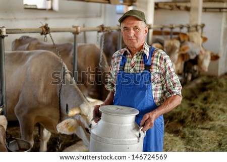 Farmer is working on the organic farm with dairy cows and holding big milk container pot. Model is a real farm worker!