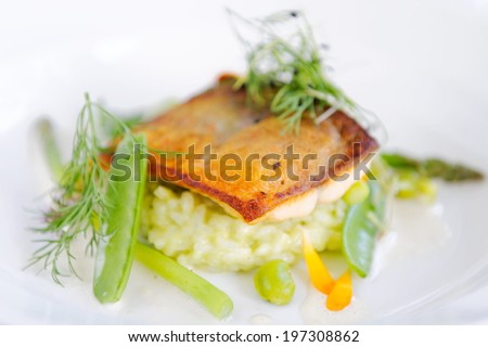 Fine dining, Trout fish fillet breaded in herbs and spice on vegetable risotto