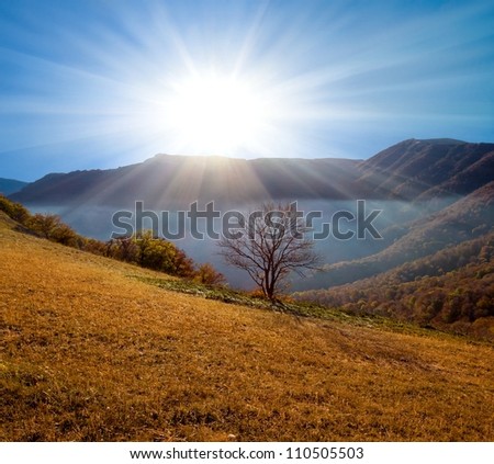 shining sun over a mountain valley