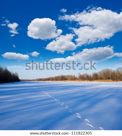 winter plain