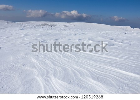 winter snowbound plain