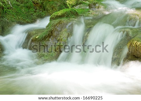 stream of water in the middle of mosses