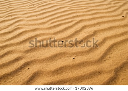 gold sands in the hot desert