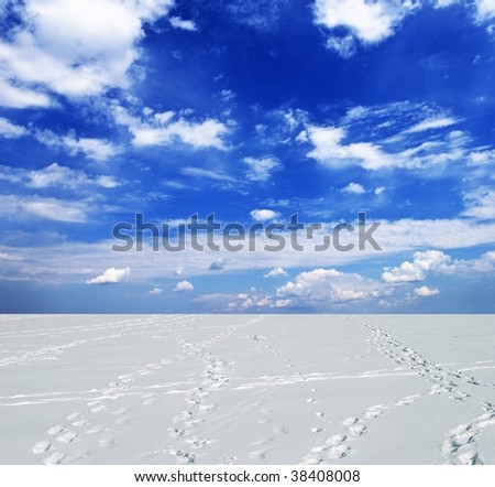 winter snowbound plain under a blue sky