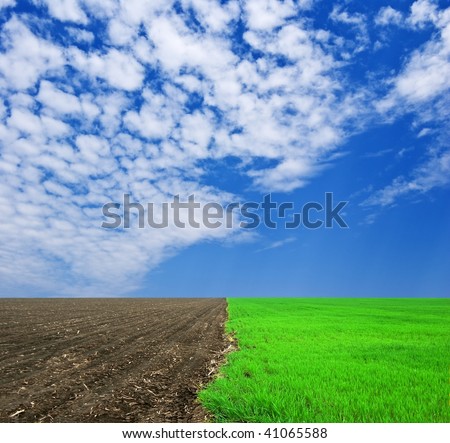 plough-land under a blue sky