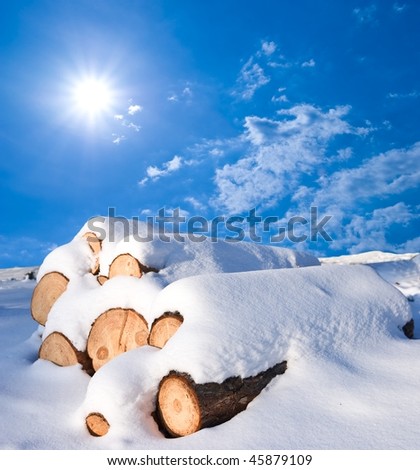 snowbound logs on a winter plain