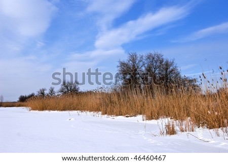 snowbound winter plain