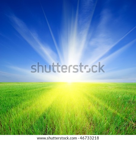 sparkle sun rising in a green field