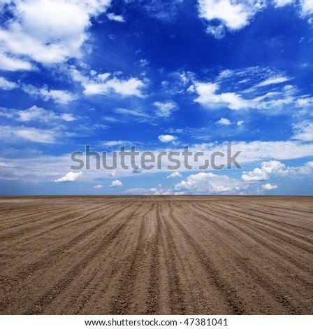 spring plough-land under a blue sky