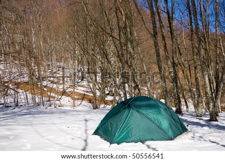 green touristic tent in a spring forest