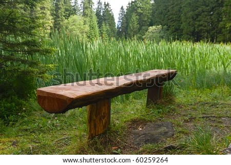 wooden bench in a forest
