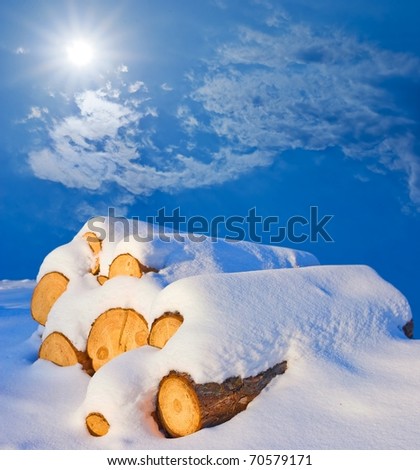 snowbound heap of logs in a winter plain