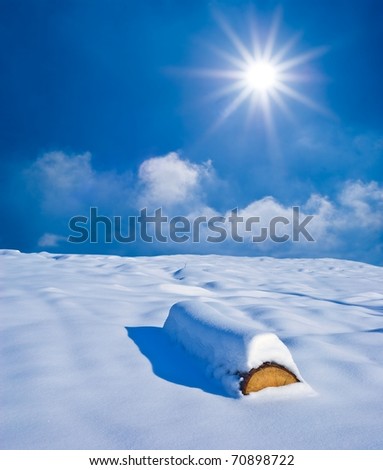 snowbound pine log in a winter plain