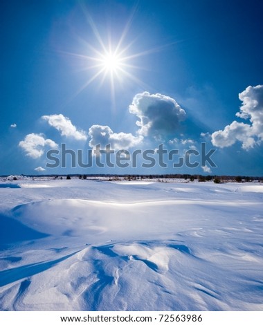 winter landscape in a snow under a sparkle sun