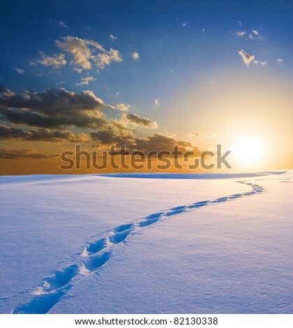 human track to a sunset in a winter plain