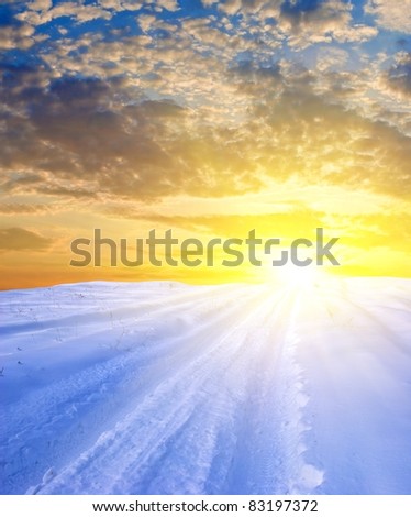 winter plain at the sunset