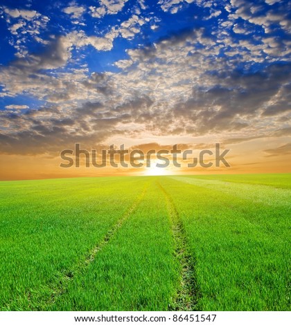 green field at the sunset