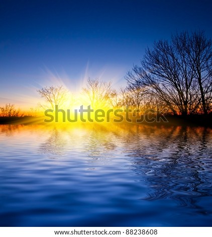 flooded forest in a rays of sparkle sun
