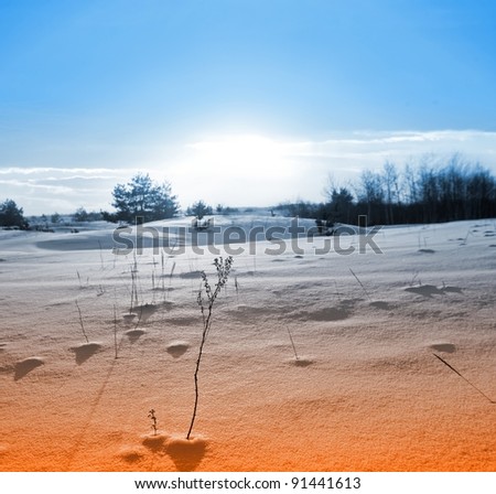 stylized sunset in a winter plain as a background