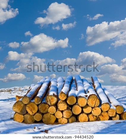 heap of logs in a snow