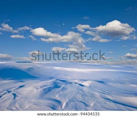 winter plain panorama