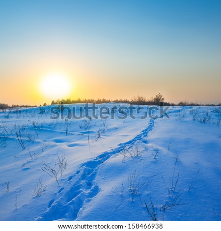 quiet sunset over an winter plain