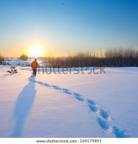 alone traveler among a winter plains