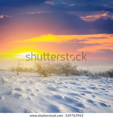 sunset over a winter plains