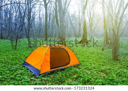 touristic camp in a green spring forest