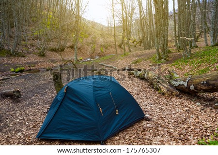 morning touristic camp
