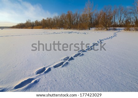 human track through a winter plain