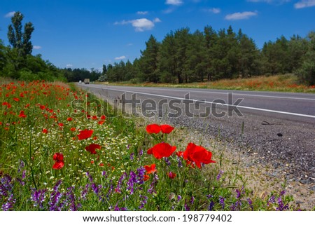 asphalt road through a flowers