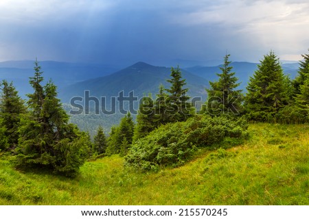 green mountain forest and a misty mountains