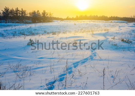 frozen winter plain at the evening