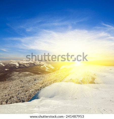 winter plains scene