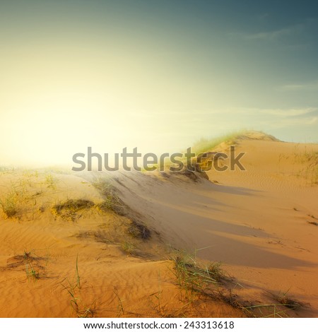 sand desert scene