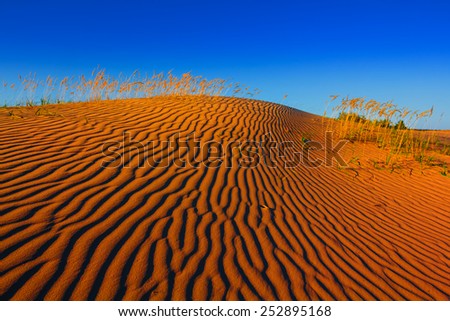 hot sand desert scene