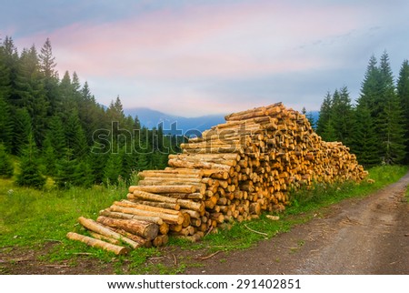 heap of trunk on a forest glade