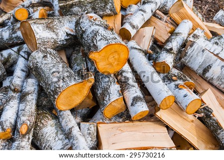 heap of birch log
