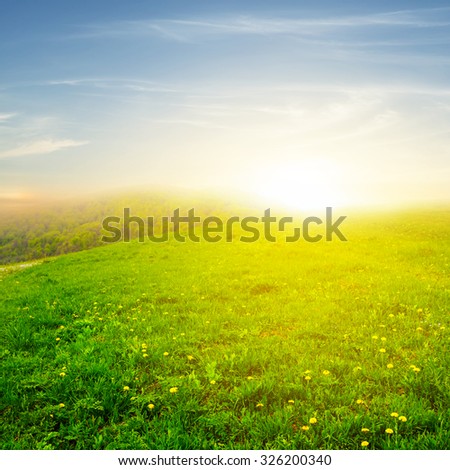 green fields at the sunset