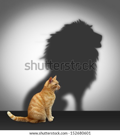 Cat with lion shadow