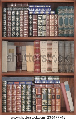 Set of shelves for books set in a surrounding frame or cabinet. The possibility of multiply for wallpaper or background.