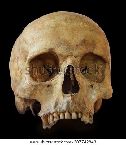 Human skull  isolated on black background.