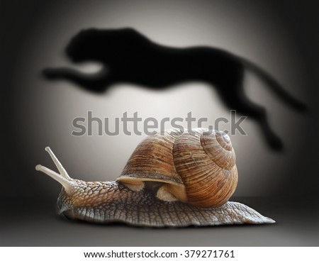 Snail with cheetah shadow. Concept graphic in soft vintage style