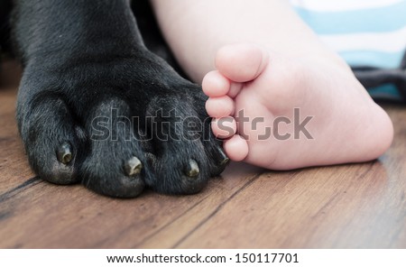 puppy paw next to baby foot