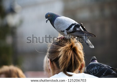 A pigeon sitting on a girls head