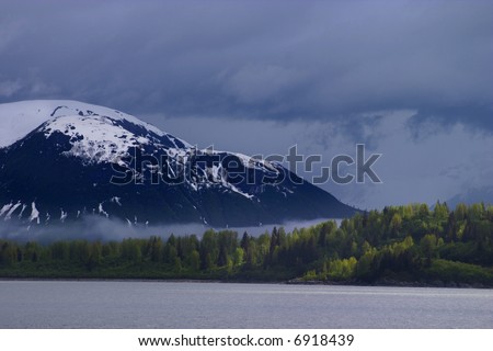 forest against dramatic background in Alaska