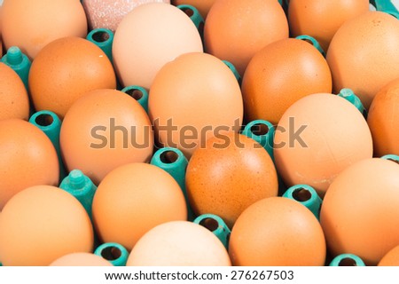 brown chicken eggs in plastic tray