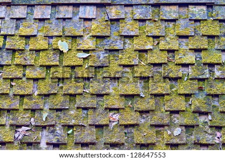 Moss growing on the wood roof.