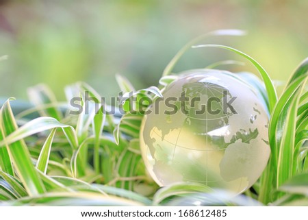 green world in grass background